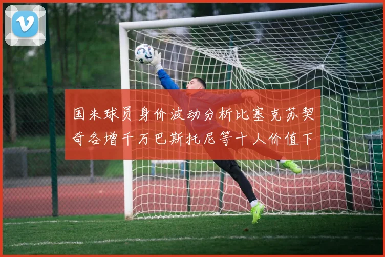 国米球员身价波动分析比塞克苏契奇各增千万巴斯托尼等十人价值下滑