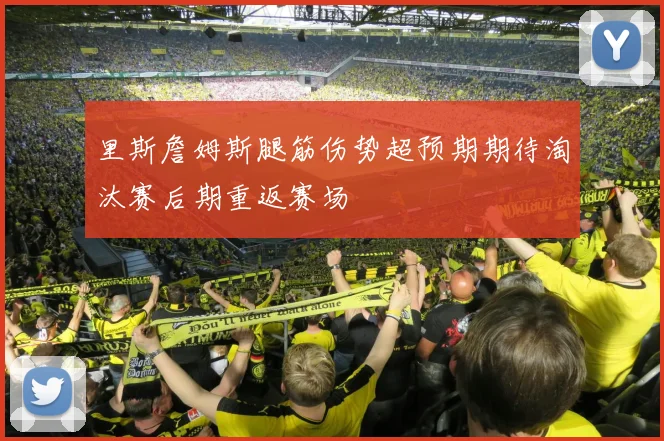 里斯詹姆斯腿筋伤势超预期期待淘汰赛后期重返赛场