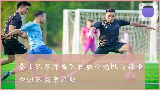泰山队军师离队执教今治FC马德鲁加归队前景未明